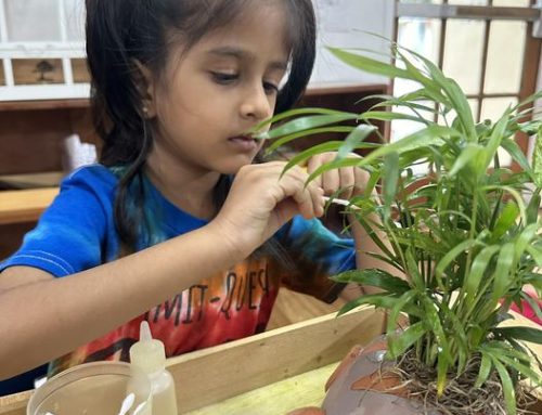 Through hands-on activities like plant care, students learn responsibility, nurt…