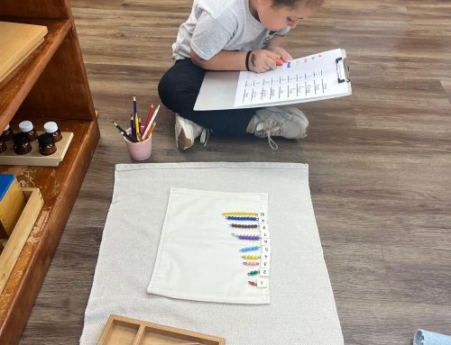 The Montessori Difference at Summit-Questa 

At Summit-Questa, the Montessori ap…