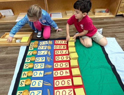 Montessori in Action – A Day Full of Discovery! 

Our classrooms were buzzing wi…