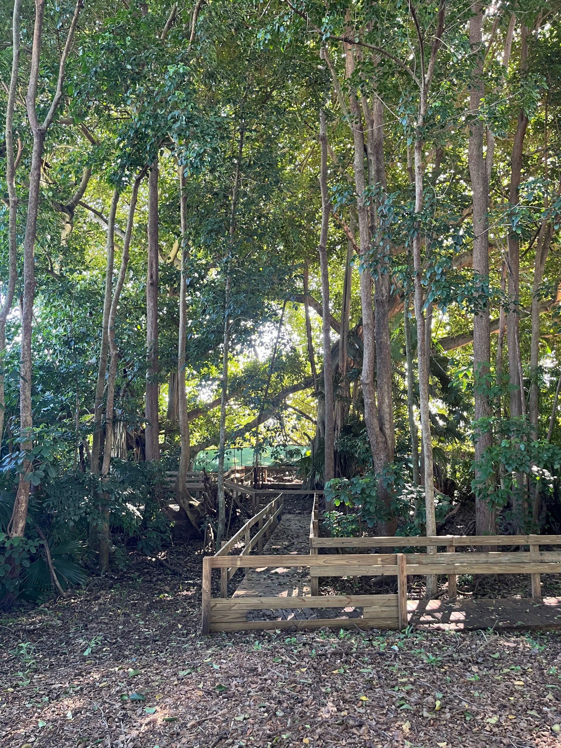 Education and nature go hand in hand at Summit-Questa Montessori! 🌿✨ Our…