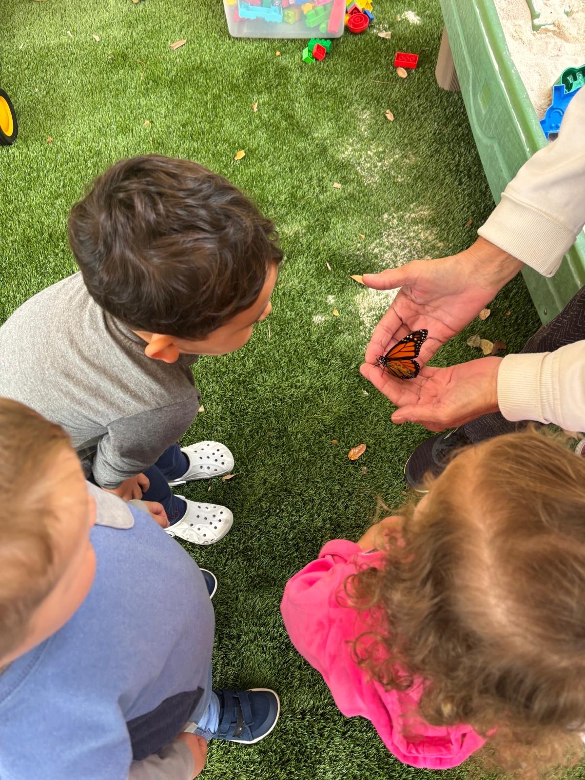 🌱🦋 Our toddler program at Summit-Questa Montessori is all about exploring nature…